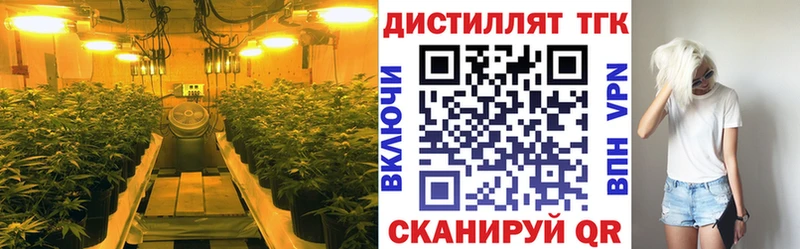 ТГК Wax Соликамск