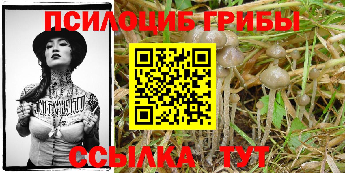 Соликамск  Галлюциногенные грибы Psilocybe  Вход с VPN 